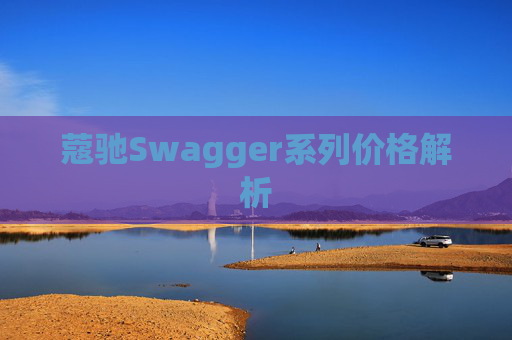 蔻驰Swagger系列价格解析